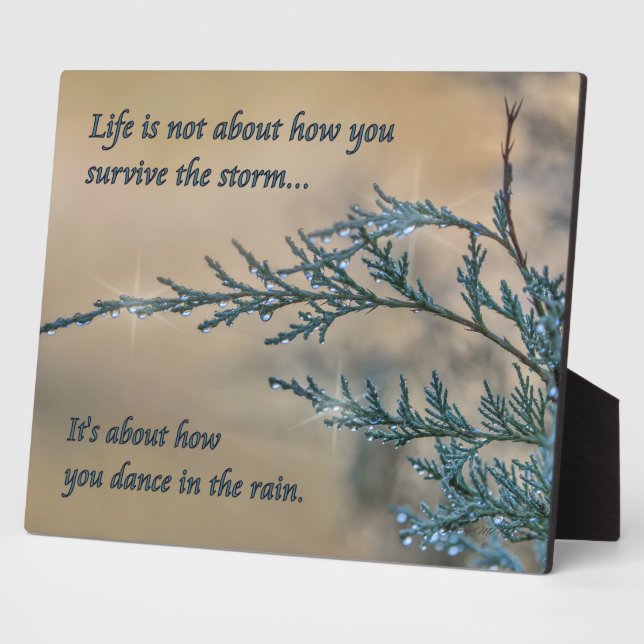 Plaque Photo Danse dans la pluie (Côté)