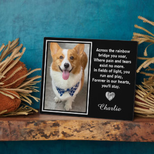 Plaque Photo De L'Autre Côté Du Rainbow Bridge Silver Pet Dog M