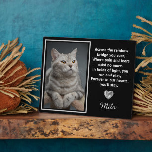 Plaque Photo De L'Autre Côté Du Rainbow Bridge Silver Pet Dog M