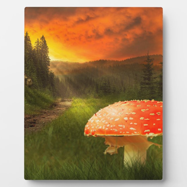 Plaque Photo Définition du soleil d'automne. (Devant)