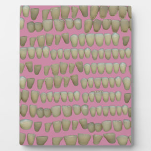 PLAQUE PHOTO DENTIST DENTISTRY ORTHODONTICS ROTTEN TEETH MOUTH