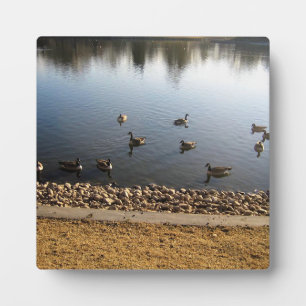 Plaque Photo Denver City Park