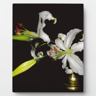 Plaque Photo Design irlandais - Collection de laiton et de fleu