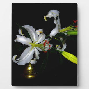 Plaque Photo Design irlandais en laiton et en fleur