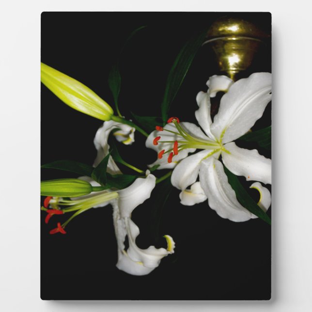 Plaque Photo Design irlandais - La collection Flower (Devant)