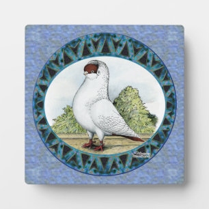 Plaque Photo Design Red Casque Pigeon