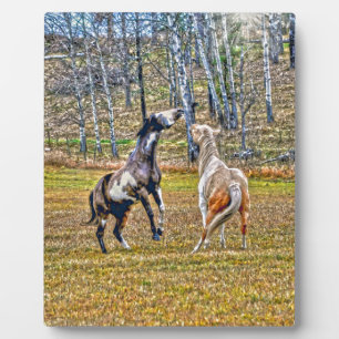 Plaque Photo Deux Chevaux de Peinture Pinto Jouant Équine Art D