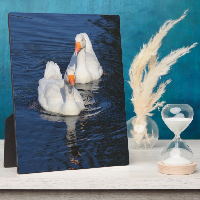 Plaque Photo Deux oies d'Emden II (Côté)