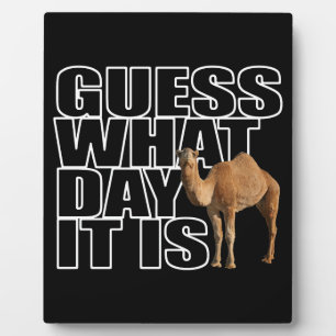Plaque Photo Devinez Quel Jour C'Est Hump Day Camel