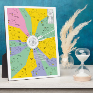 Plaque Photo Diagramme de code génétique montrant les résidus d