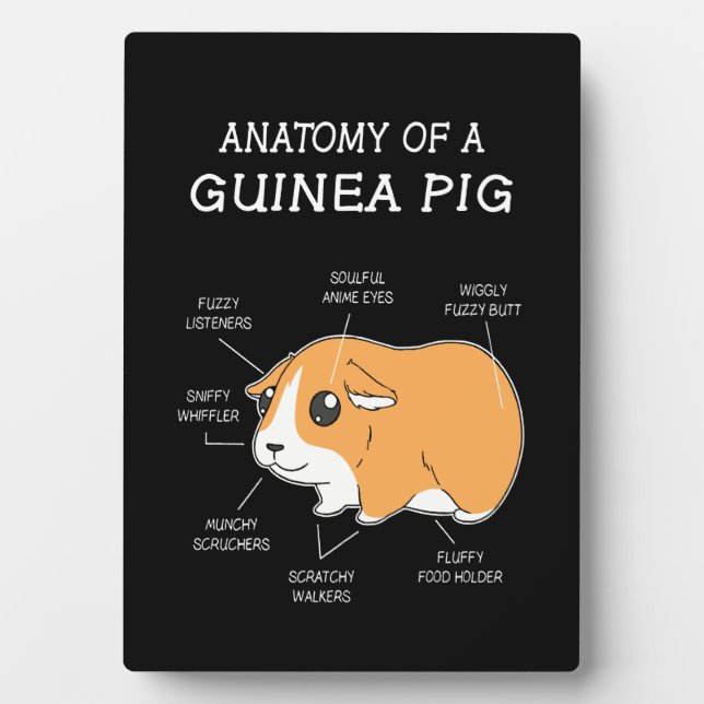Plaque Photo Don de cochon de Guinée | Anatomie D'Un Cochon De  (Devant)