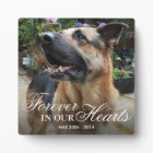 Don Pet Photo Memorial | Pour toujours dans nos co