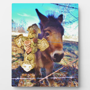 Plaque Photo Donkey avec croix Rose