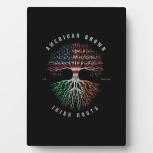 Plaque Photo Drapeau irlandais de croissance américaine irlanda