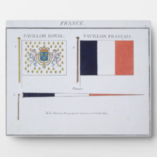 Plaque Photo Drapeaux français, tiré d'un livre français de Dra