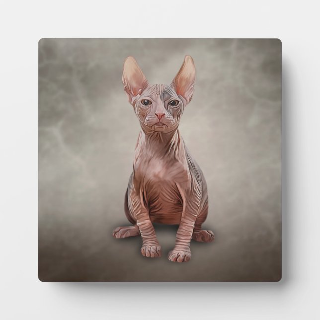 Plaque Photo Drawing Sphynx kitten (Devant)