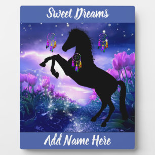Plaque Photo Dreamcatcher