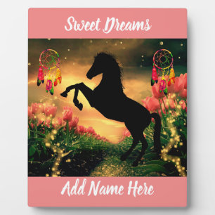 Plaque Photo Dreamcatcher