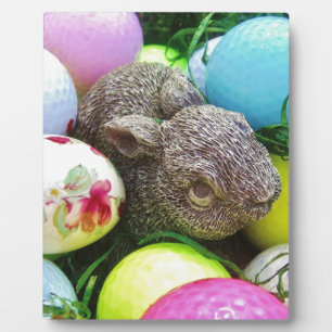 PLAQUE PHOTO DSCF0438.JPG