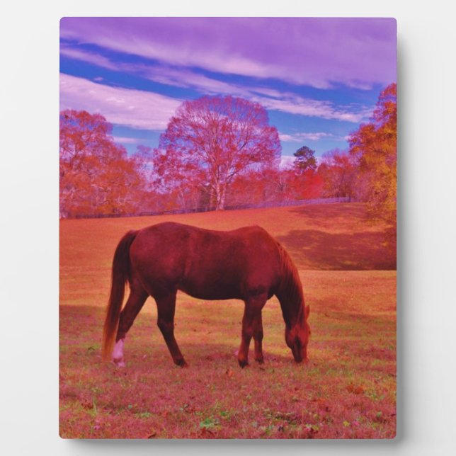 PLAQUE PHOTO DSCF0536.JPG (Devant)