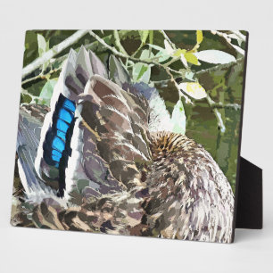 PLAQUE PHOTO DUCK FEATHERS