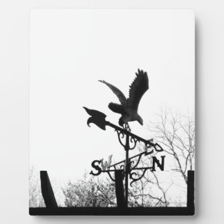 Plaque Photo Eagle and Arrow