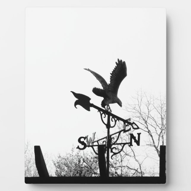 Plaque Photo Eagle and Arrow (Devant)