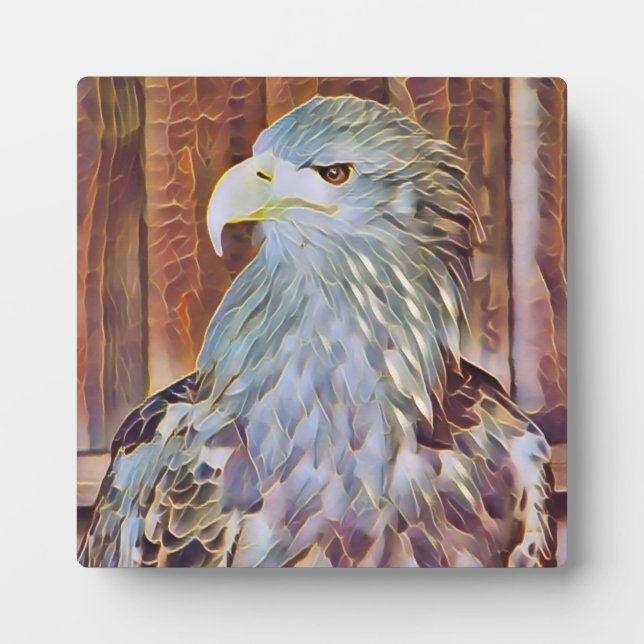 PLAQUE PHOTO EAGLE DE MER (Devant)