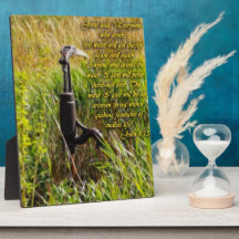 Eau vive John 4 Inspiration