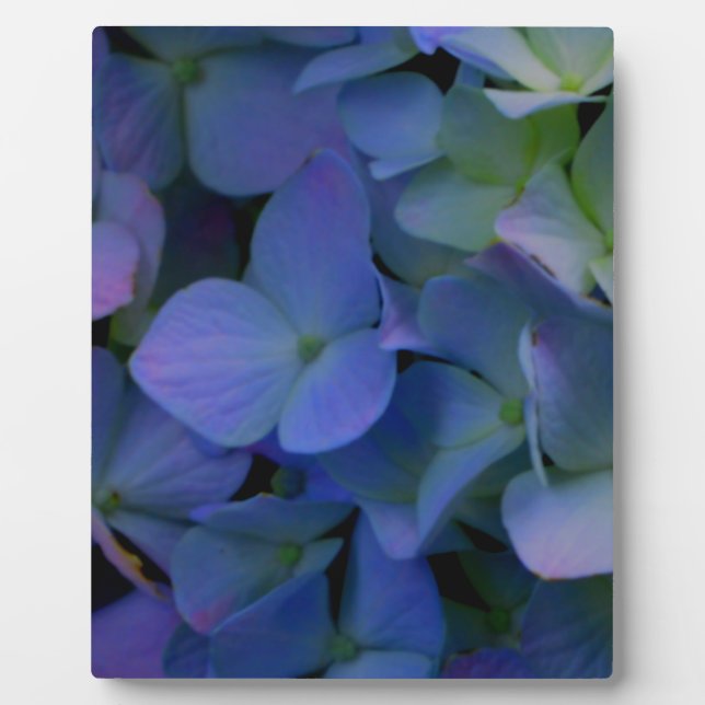 Plaque Photo Élégant bleu pourpre bleu pourpre floral (Devant)