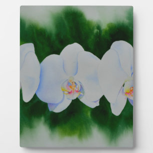 Plaque Photo Elégante peinture d'orchidée tropicale blanche