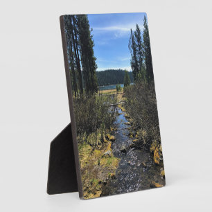 Plaque Photo Elk Lake
