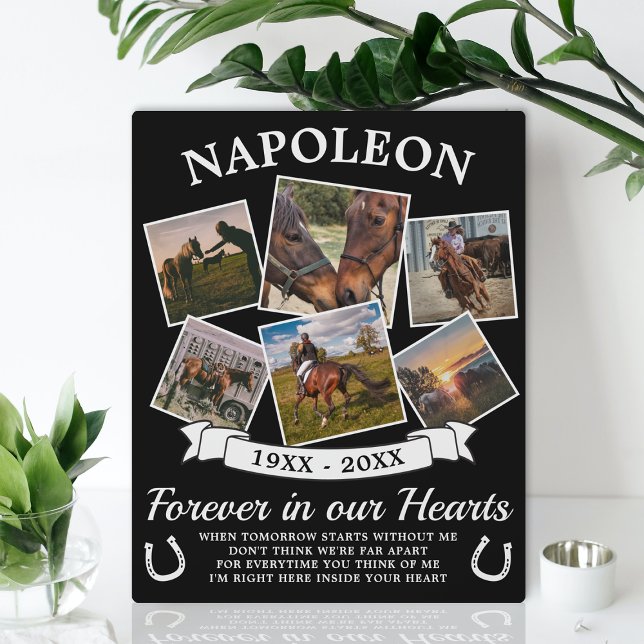 Plaque Photo En Mémoire Cheval Doux (Créateur téléchargé)