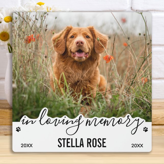 Plaque Photo En mémoire d'amour moderne Keepsaké Pet Memorial (Créateur téléchargé)