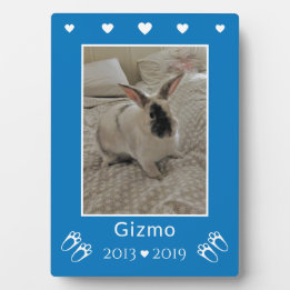 Plaque Photo Enfants Animaux de compagnie lapin lapin Perdre |