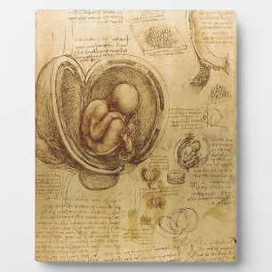 Plaque Photo Étude du foetus de bébé par Leonardo da Vinci