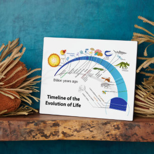 Plaque Photo Évolution de la vie sur Terre Diagramme chronologi