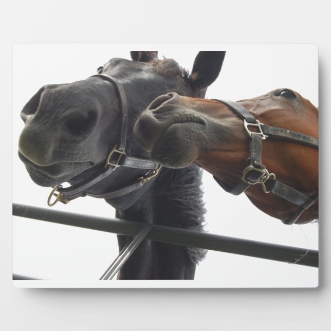 Plaque Photo Faire du cheval autour (Devant)