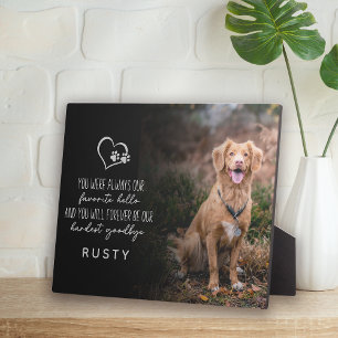 Plaque Photo Favori Hello Hardest Goodbye Pet Memorial