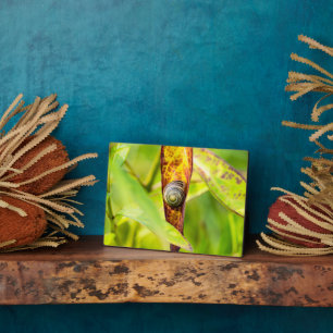 Plaque Photo fixation calme