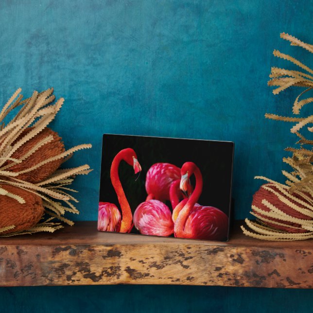 Plaque Photo Flamants roses Art Décor (Côté)