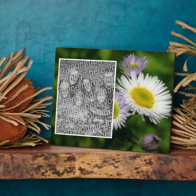 Plaque Photo Fleabane sauvage Fleur de marguerite Créez votre p (Côté)