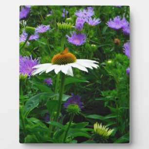 Plaque Photo Fleur de cône blanc, fleurs pourpres et papillon