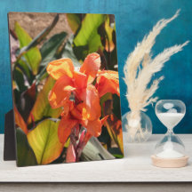 Fleur d'orange exotique