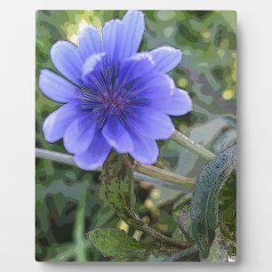 Plaque Photo Fleur sauvage bleue