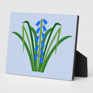 Plaque Photo Fleurs de Jacinthe Bleue Garçon Printemps