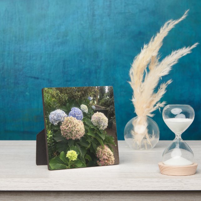 Plaque Photo Fleurs de jardin (Insitu)