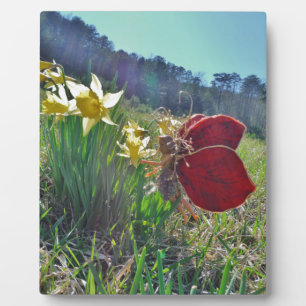 Plaque Photo Fleurs et fleurs jaunes