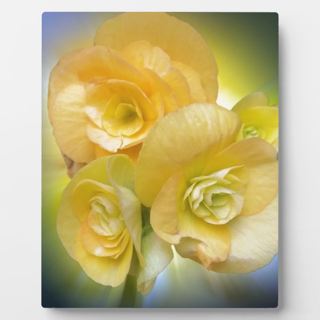 Plaque Photo fleurs jaunes brillant (Devant)