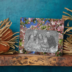 Plaque Photo Fleurs roses Créez votre propre photo